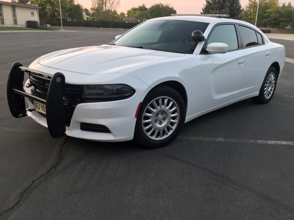 2018 dodge charger push bar